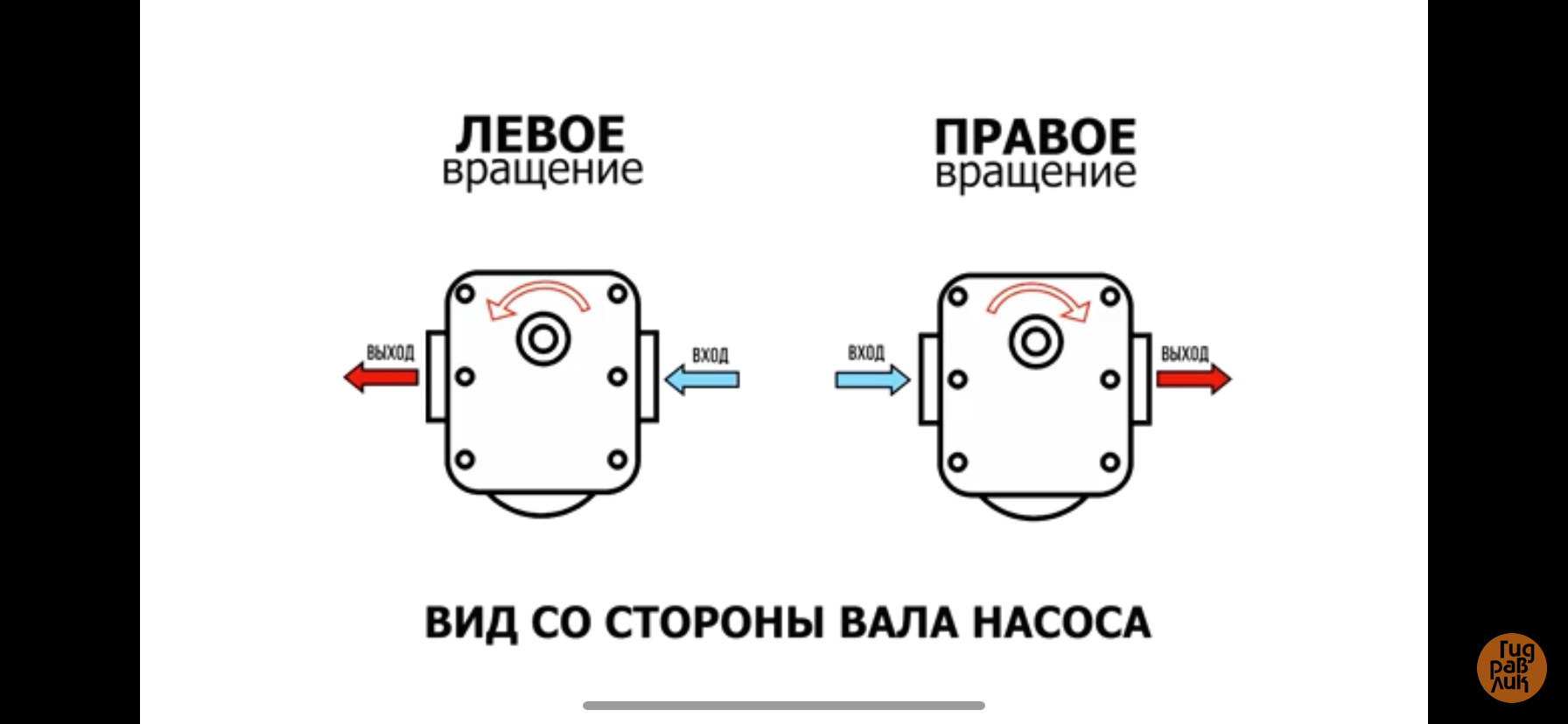 IMG_2396.png